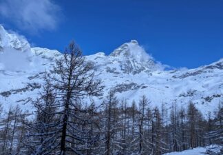 Attività commerciale